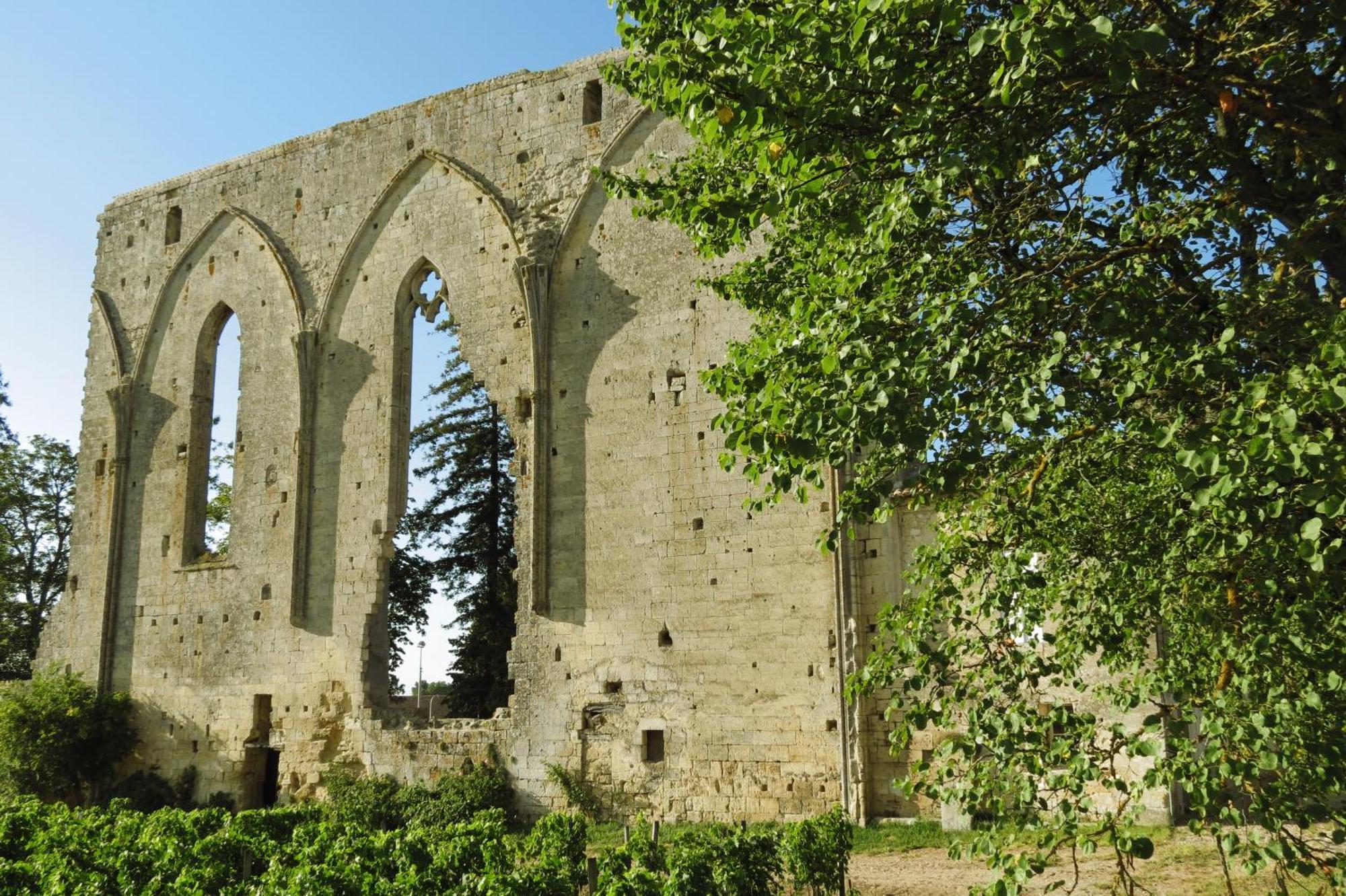 Bleu Raisin Bed & Breakfast Les Salles-de-Castillon Bagian luar foto