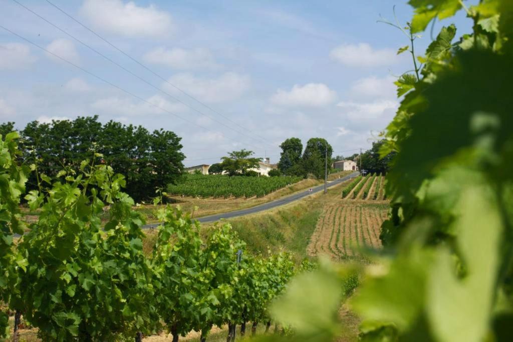 Bleu Raisin Bed & Breakfast Les Salles-de-Castillon Bagian luar foto